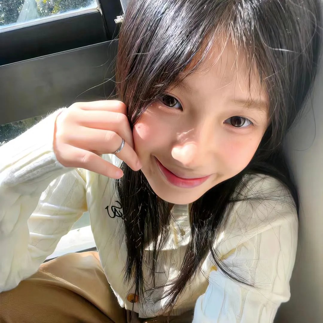 小狗吉米走私事件